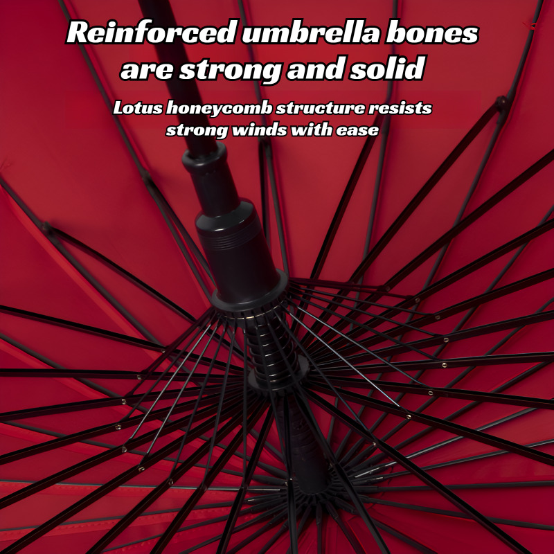 Guarda-chuva extra grande de 2 - Parasol Umbrella Large avaliação e preço