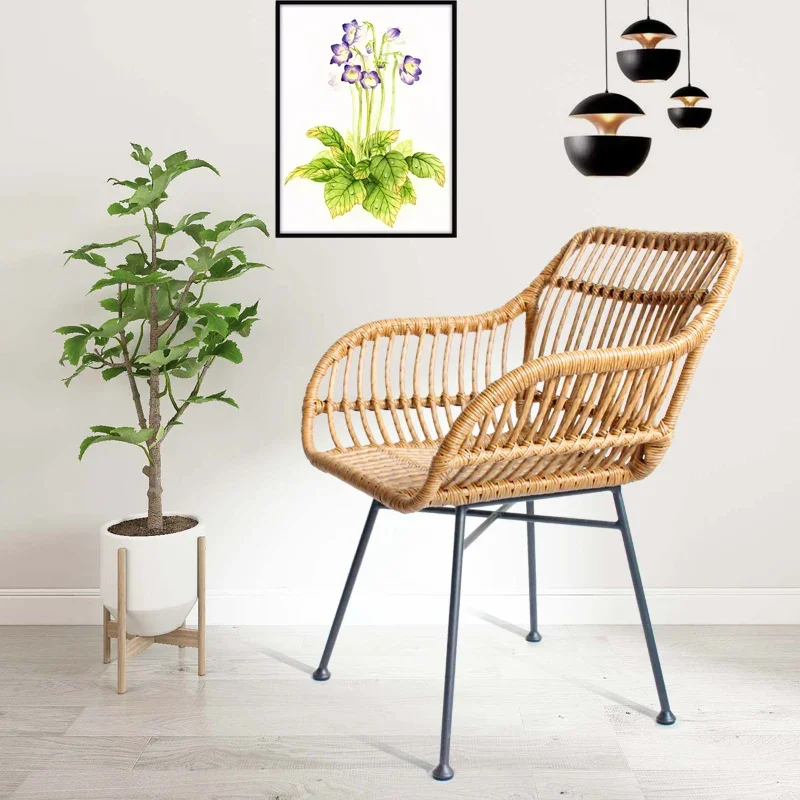 Cadeiras de Jantar Nórdicas pa - Outdoor Furniture Iron avaliação e preço